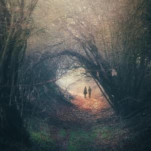 中国一级特黄真人毛片免费视频
