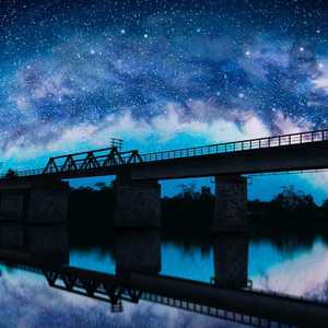 中国一级特黄真人毛片免费视频
