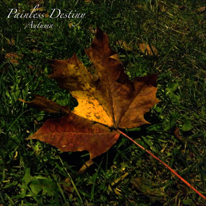 中国一级特黄真人毛片免费视频
